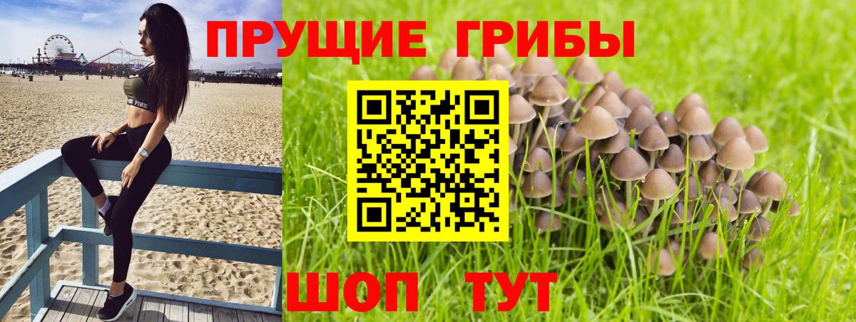 Галлюциногенные грибы мухоморы Мурманск
